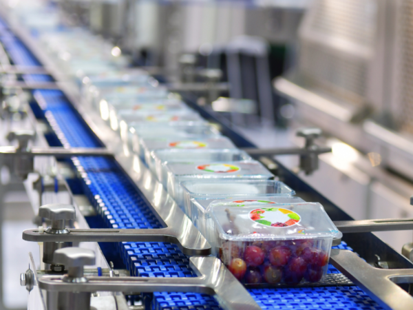 Packages of produce traveling along an industrial conveyor belt